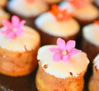Food and Wine VI: Elegant Cheesecakes Sample